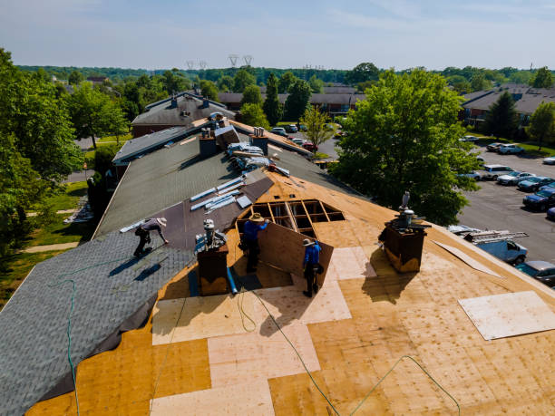 Best Storm Damage Roof Repair  in Gramercy, LA